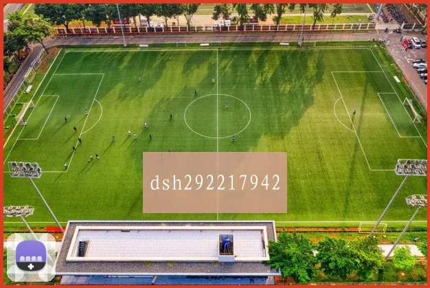 dsh292217942