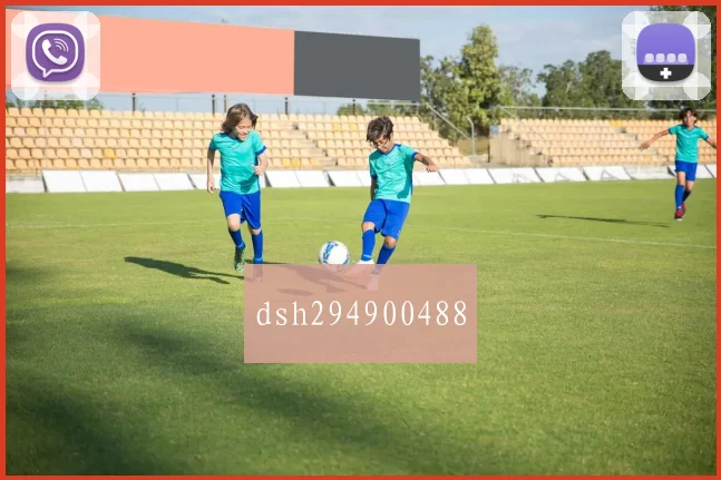 dsh294900488